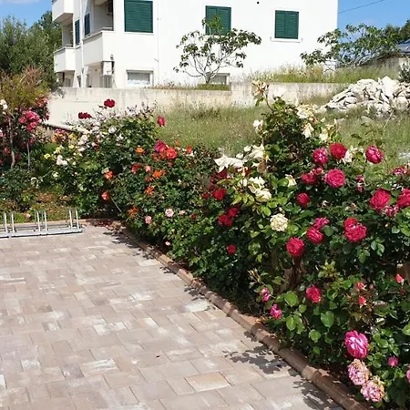 Apartment Ankora